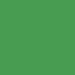 RAL 6005 - Moss green
